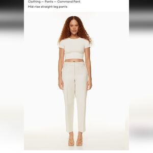 Aritzia Pants